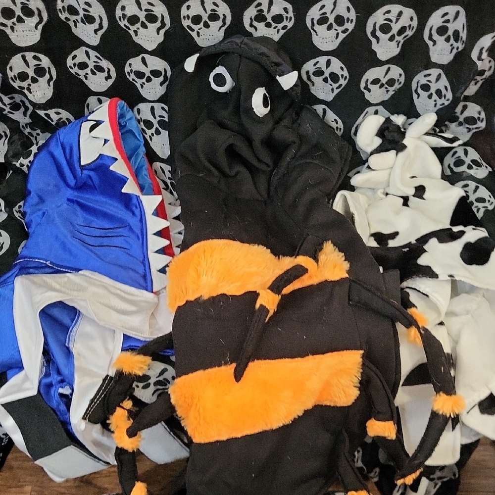 Blue Shark and Orange Bee Dog Costume Set